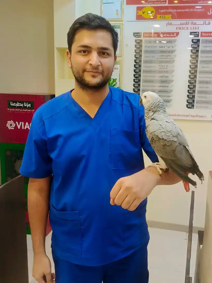 Dr Adil Sardar