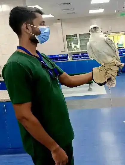 Dr Abdul Rauf