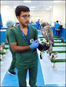 Dr Talha Ashraf