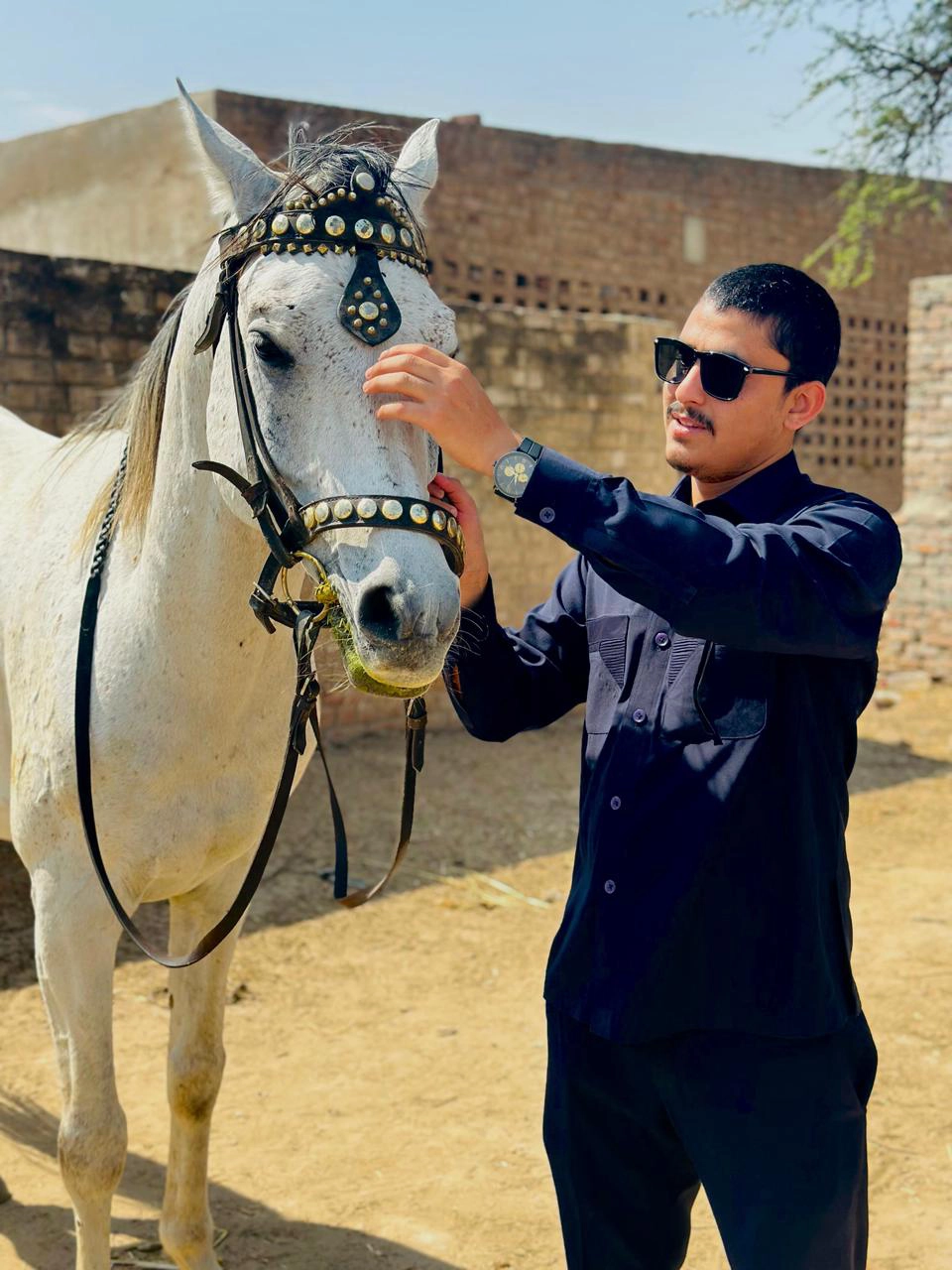Dr Numan Tariq